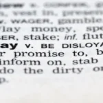 Serlig meaning explained with definition, origin, uses, and modern importance